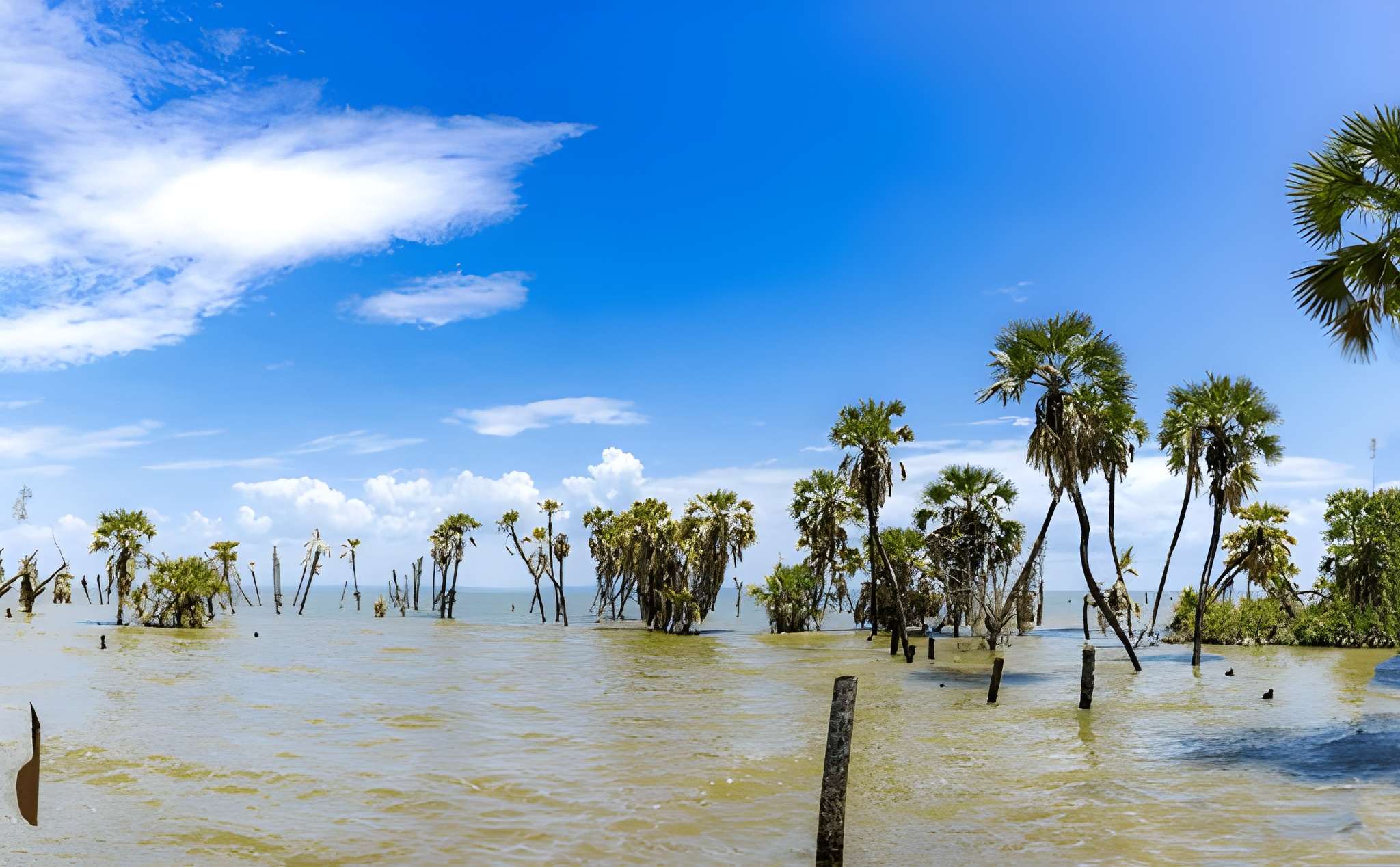 Lake Turkana – Jade Sea