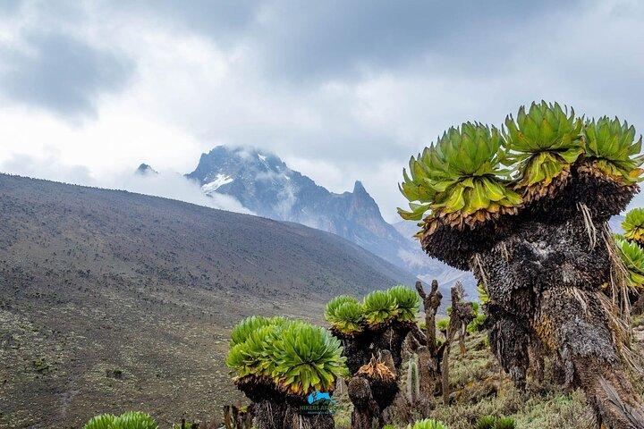 Rough North Kenya, Luxury Tours  6-Day Mt Kenya Trek – Burguret Route | Rough North Kenya