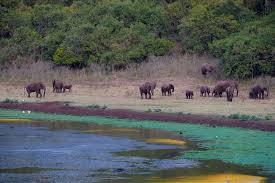 Rough North Kenya 7-Day Northern Kenya Explorer | Lake Turkana & Samburu Safari